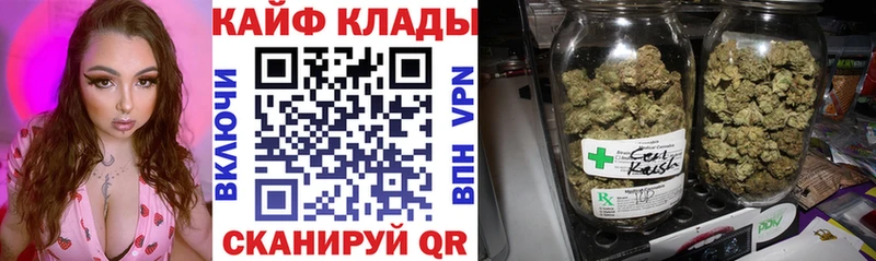 Где купить наркотики Дмитриев Галлюциногенные грибы АМФЕТАМИН Мефедрон Cocaine ОМГ ОМГ tor Конопля