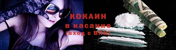 сатива Инсар