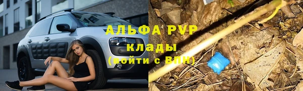 сатива Бугульма