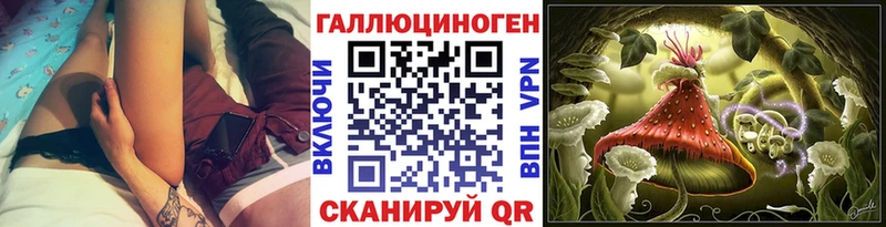 купить наркотики цена  Дмитриев  Галлюциногенные грибы Magic Shrooms 