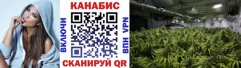 Бошки Шишки гибрид  Дмитриев 